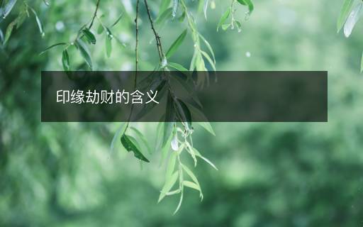 印緣劫財?shù)暮x