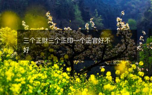 三個(gè)正財(cái)三個(gè)正印一個(gè)正官好不好