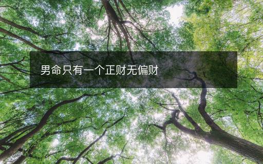 男命只有一個(gè)正財(cái)無偏財(cái)