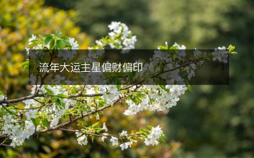 流年大運主星偏財偏印