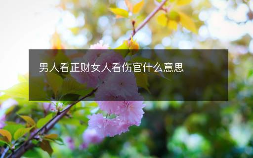 男人看正財女人看傷官什么意思