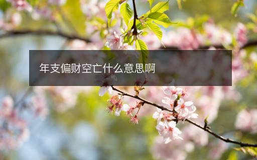 年支偏財(cái)空亡什么意思啊