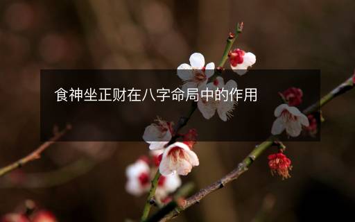 食神坐正財(cái)在八字命局中的作用