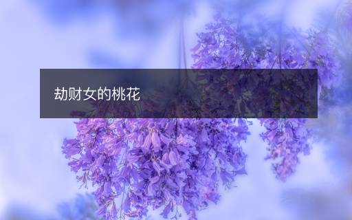 劫財女的桃花