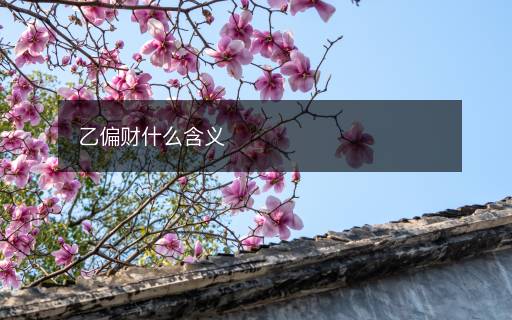 乙偏財(cái)什么含義