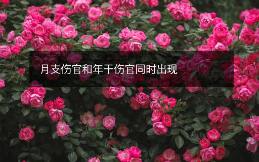 月支傷官和年干傷官同時(shí)出現(xiàn)