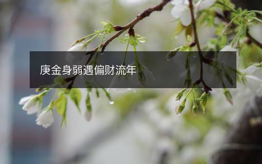 庚金身弱遇偏財流年