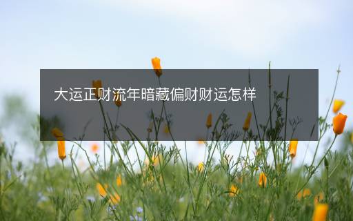 大運(yùn)正財(cái)流年暗藏偏財(cái)財(cái)運(yùn)怎樣