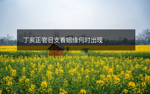 丁亥正官日支看姻緣何時出現(xiàn)