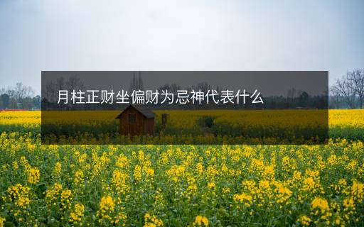 月柱正財(cái)坐偏財(cái)為忌神代表什么