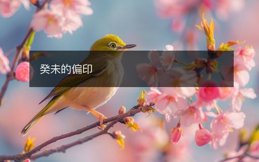 癸未的偏印