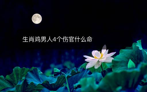 生肖雞男人4個傷官什么命