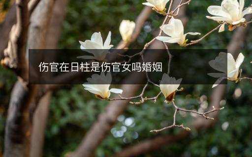 傷官在日柱是傷官女嗎婚姻