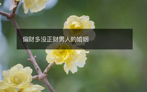 偏財多沒正財男人的婚姻