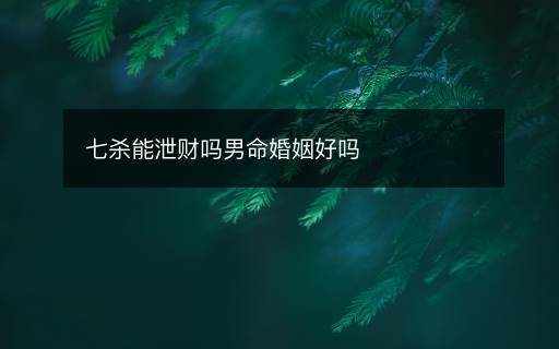 七殺能泄財(cái)嗎男命婚姻好嗎