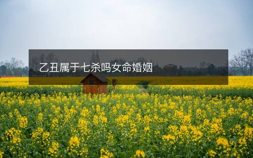 乙丑屬于七殺嗎女命婚姻