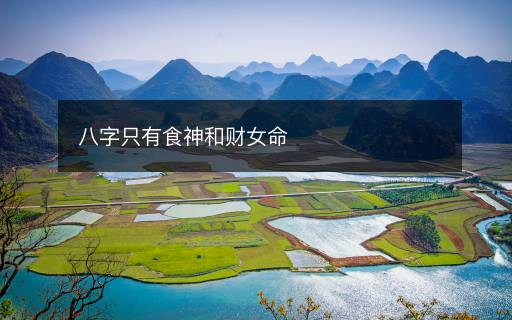 八字只有食神和財女命