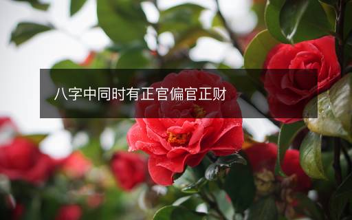 八字中同時有正官偏官正財