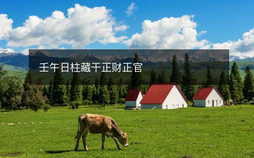 壬午日柱藏干正財正官
