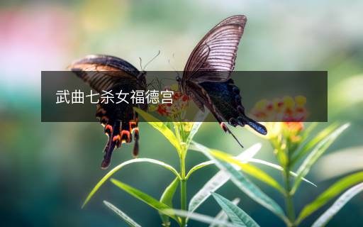 武曲七殺女福德宮