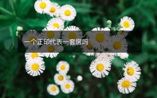 一個(gè)正印代表一套房嗎