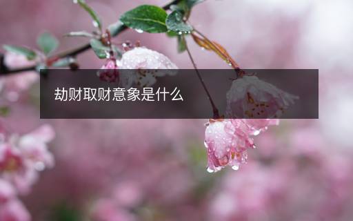 劫財取財意象是什么