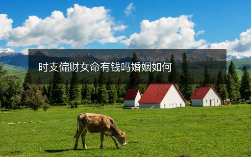 時支偏財女命有錢嗎婚姻如何
