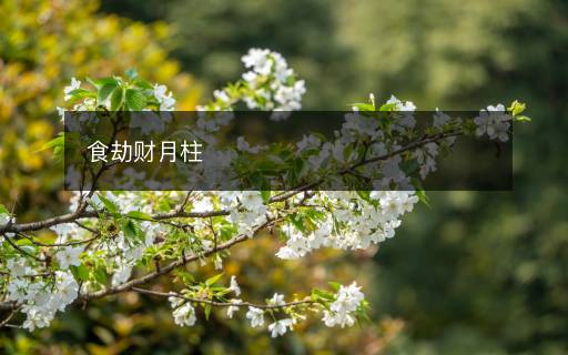 食劫財(cái)月柱