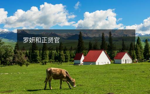 羅妍和正賢官