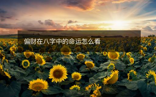 偏財在八字中的命運怎么看