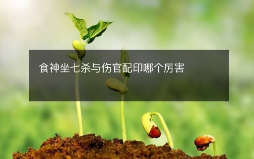 食神坐七殺與傷官配印哪個厲害