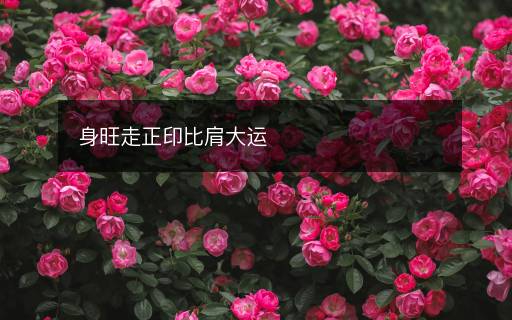 身旺走正印比肩大運