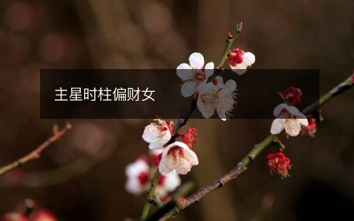 主星時柱偏財女