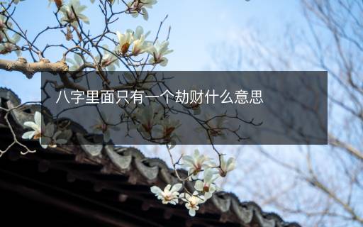 八字里面只有一個(gè)劫財(cái)什么意思