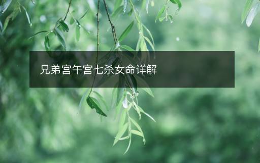 兄弟宮午宮七殺女命詳解