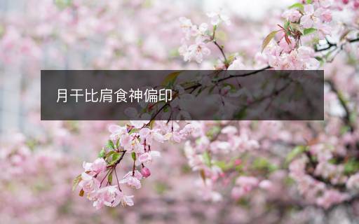 月干比肩食神偏印