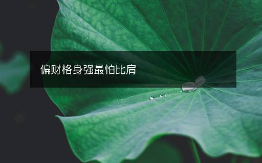 偏財(cái)格身強(qiáng)最怕比肩