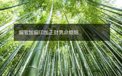 偏官加偏印加正財男命婚姻