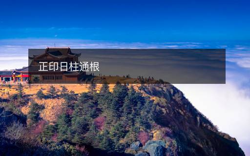 正印日柱通根