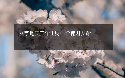 八字地支二個(gè)正財(cái)一個(gè)偏財(cái)女命