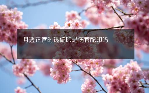 月透正官時透偏印是傷官配印嗎