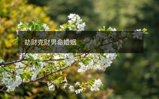 劫財克財男命婚姻