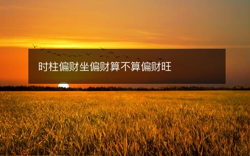 時(shí)柱偏財(cái)坐偏財(cái)算不算偏財(cái)旺