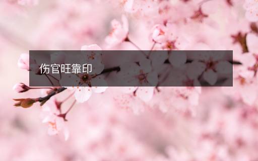 傷官旺靠印