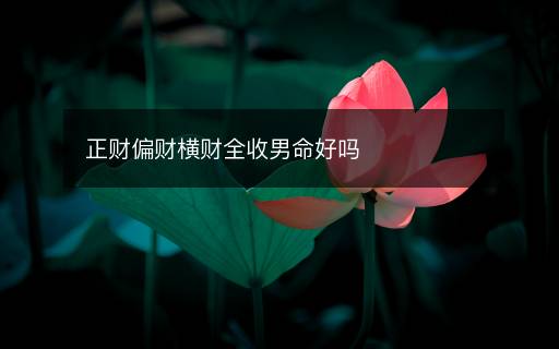 正財(cái)偏財(cái)橫財(cái)全收男命好嗎