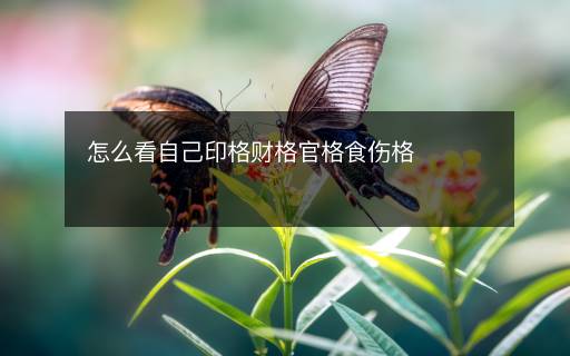 怎么看自己印格財格官格食傷格