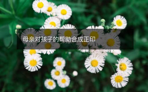 母親對(duì)孩子的幫助合成正印