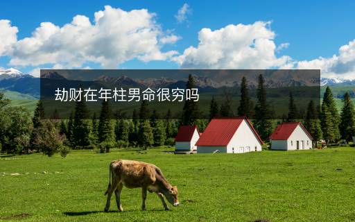 劫財(cái)在年柱男命很窮嗎