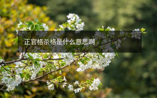 正官格殺格是什么意思啊
