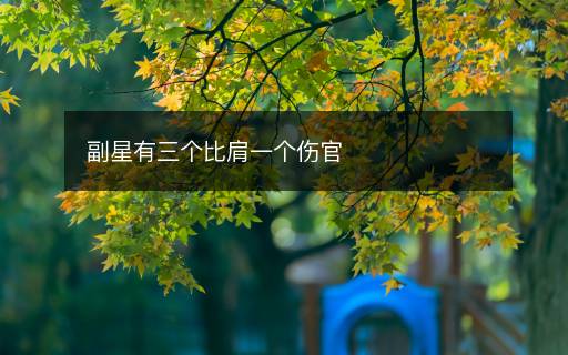 副星有三個比肩一個傷官